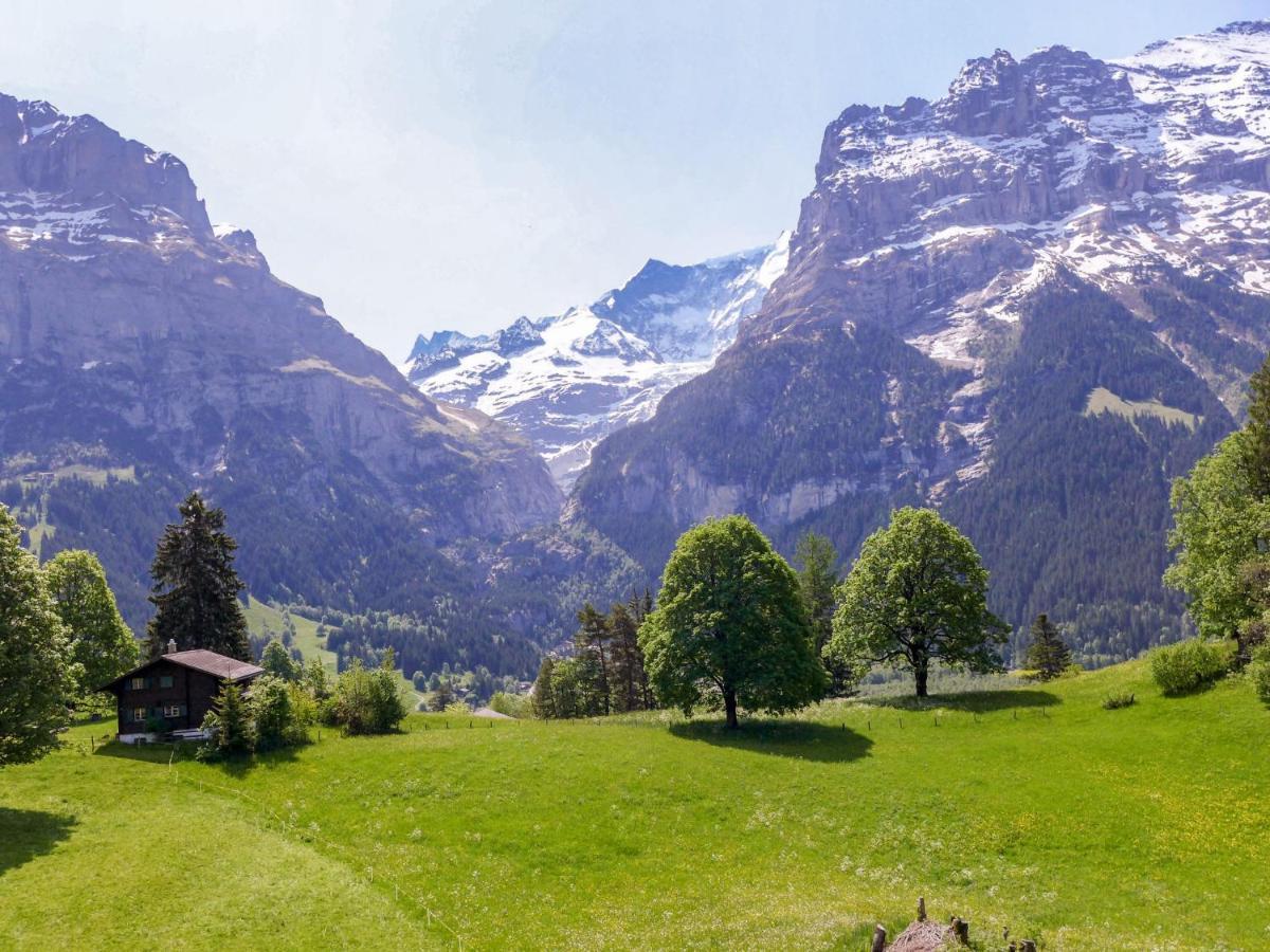 Apartment Chalet Blaugletscher Grindelwald Exterior foto