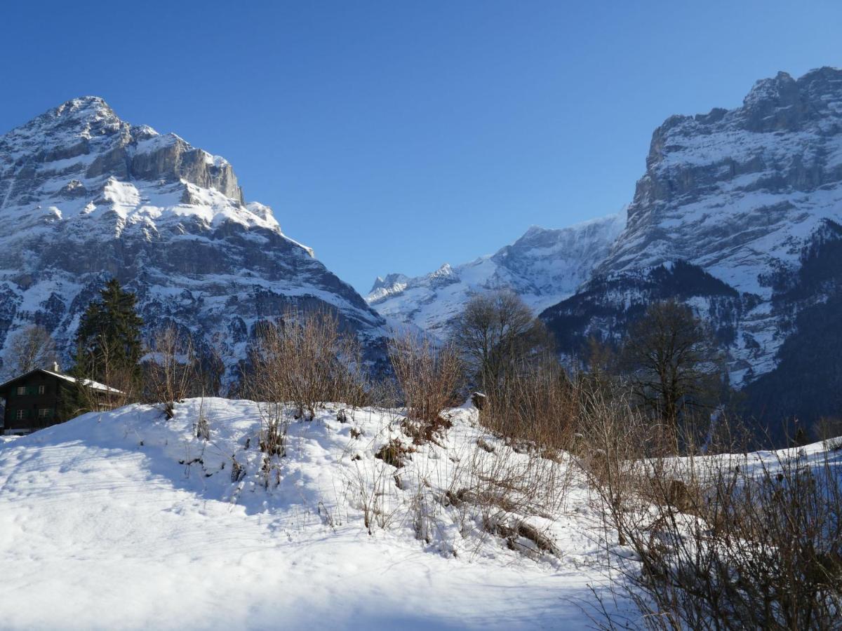 Apartment Chalet Blaugletscher Grindelwald Exterior foto