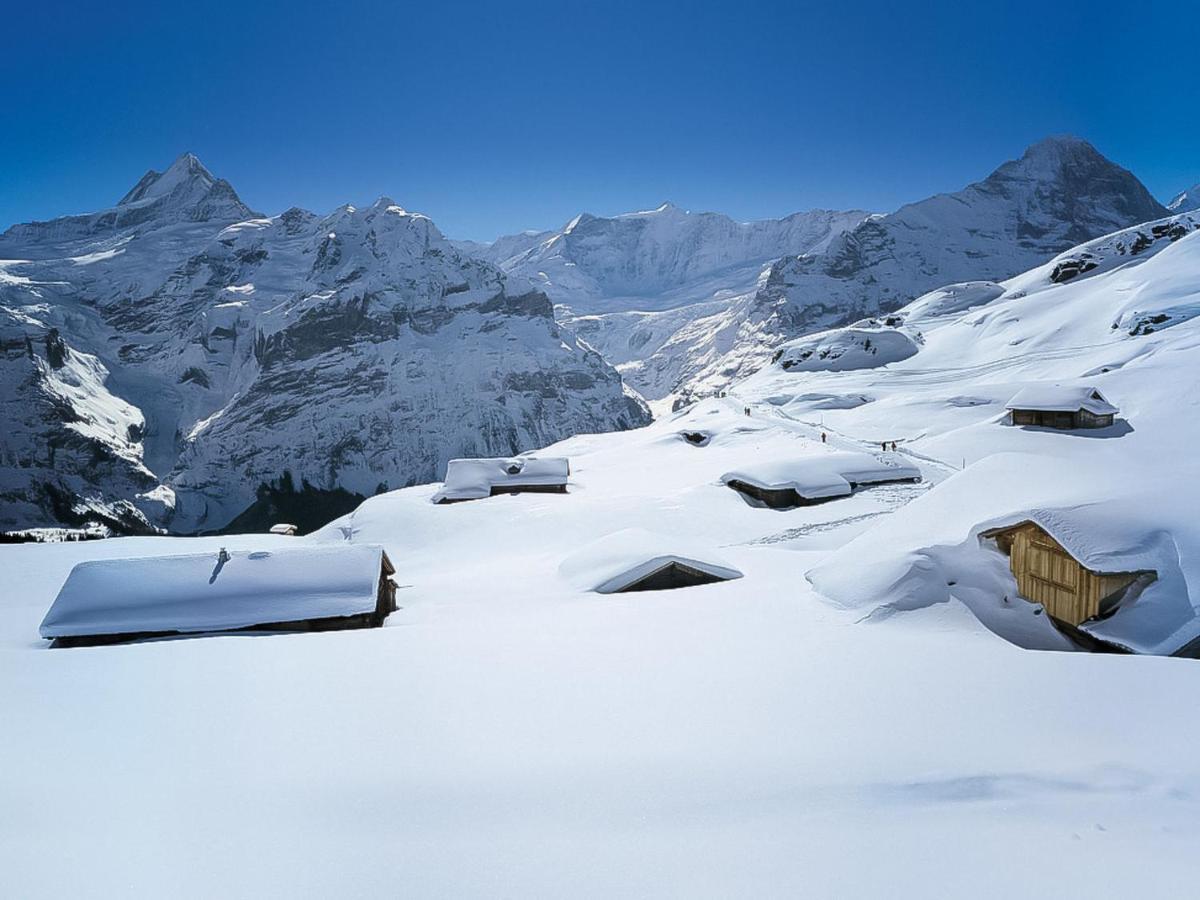 Apartment Chalet Blaugletscher Grindelwald Exterior foto